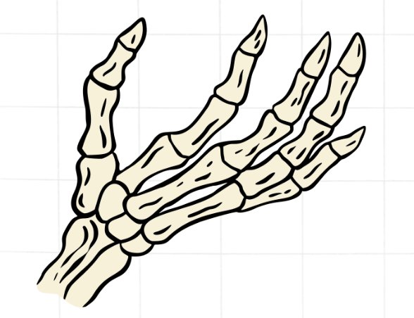 Het skelet van de mens met verschillende botten