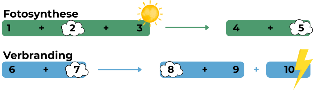 Schematische afbeelding met de formule van fotosynthese met water, koolstofdioxide, zonlicht, glucose en zuurstof en de formule van verbranding met glucose, zuurstof, koolstofdioxide, water en energie