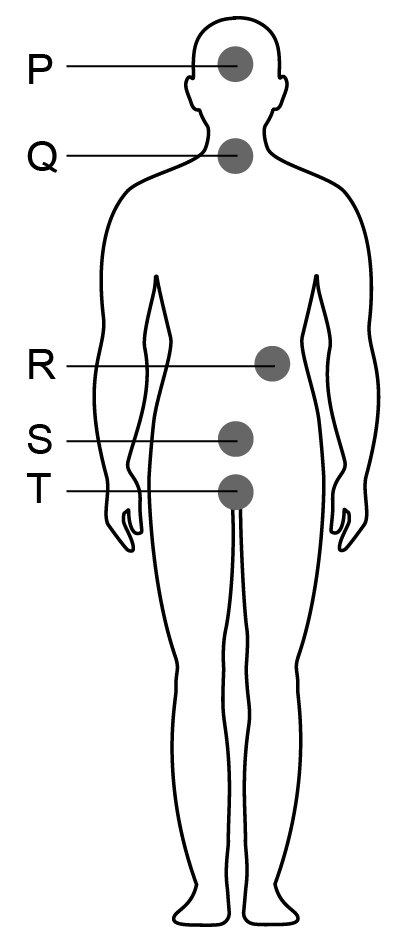 2024 vmbo examen biologie