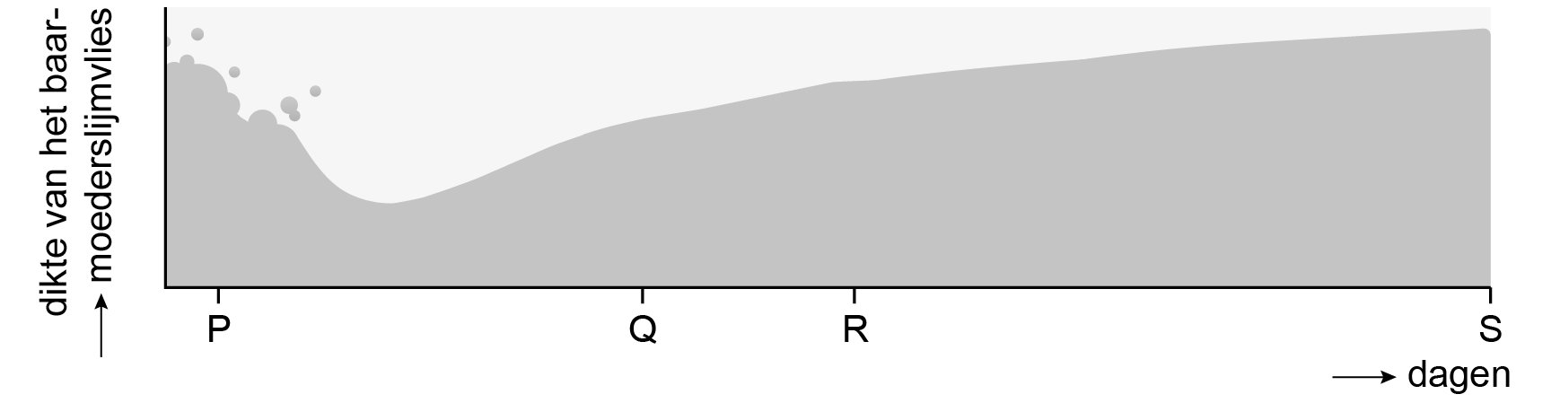 2024 vmbo examen biologie
