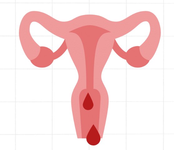 Schema van de menstruatiecyclus en baarmoeder
