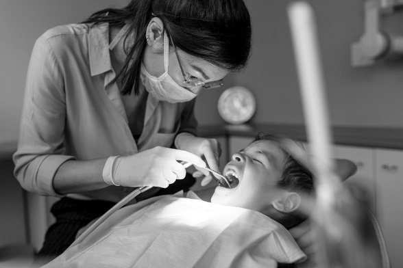 2024 vmbo examen biologie